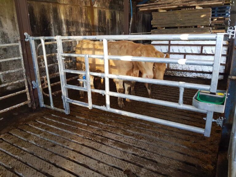 Livestock Dividing Gates