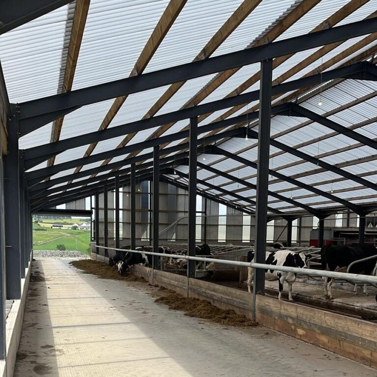 New diary unit and cattle shed cladded with heatguard polycarbonate roof cladding