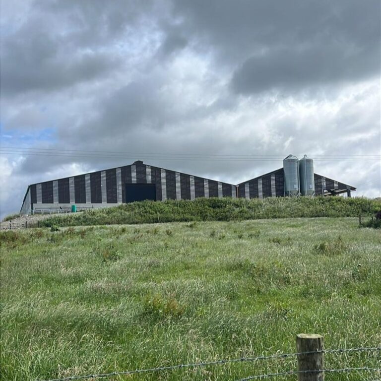 New diary unit and cattle shed cladded with heatguard polycarbonate roof cladding