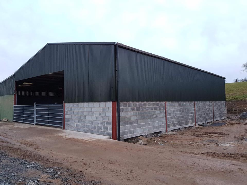 Cattle / Sheep House, Downpatrick